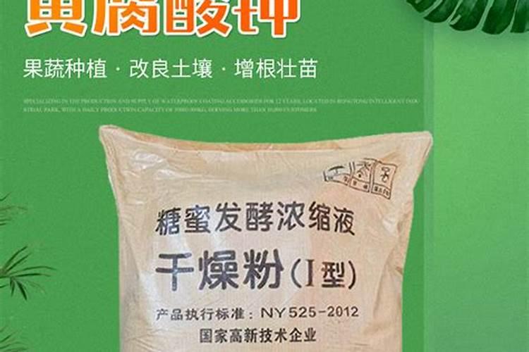 多肉玉坠怎么浇水方法