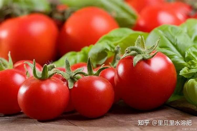 怎样在外观区分氮、磷、钾肥？？？