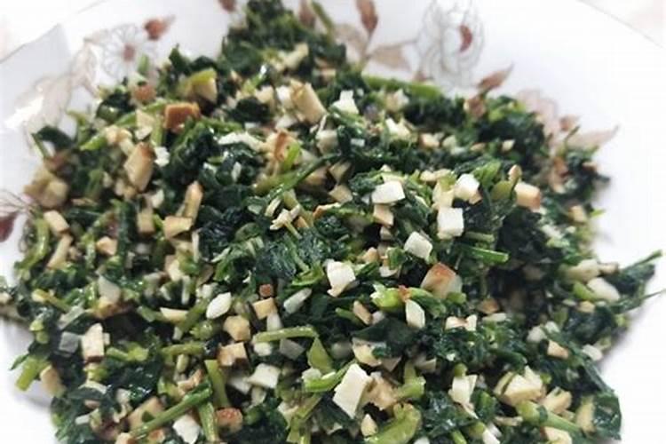 茂施控释肥有几个厂家