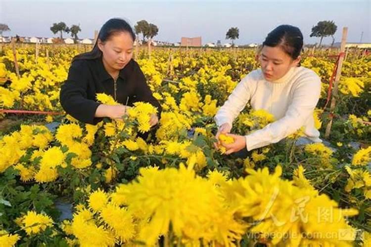 江苏省有哪些电线电缆大企业？