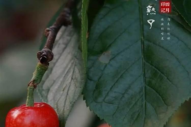 脲铵氮肥的肥效期多长