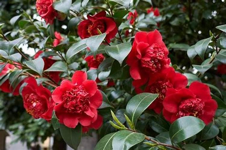 北京哪卖蔬菜和水果最便宜,还能零售？