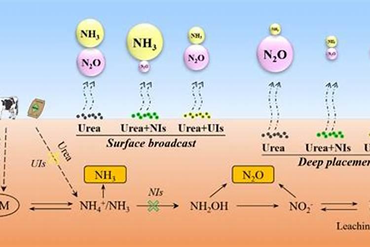 如何变别真假中化钾肥