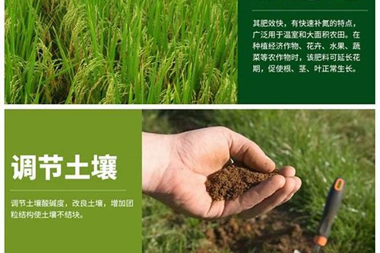 小麦追肥最佳肥料