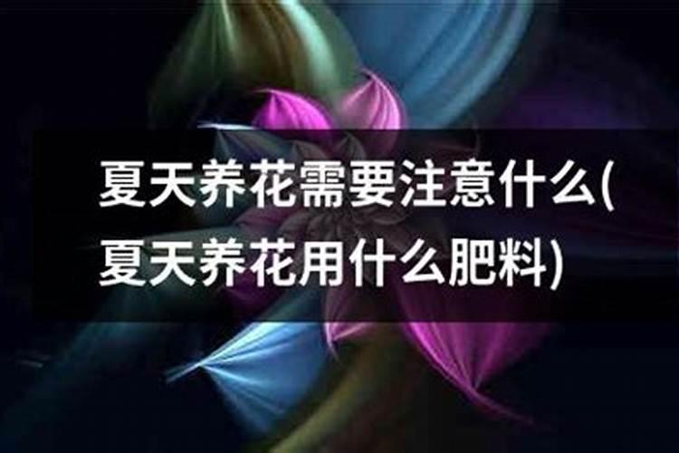 花草浇什么肥料合适