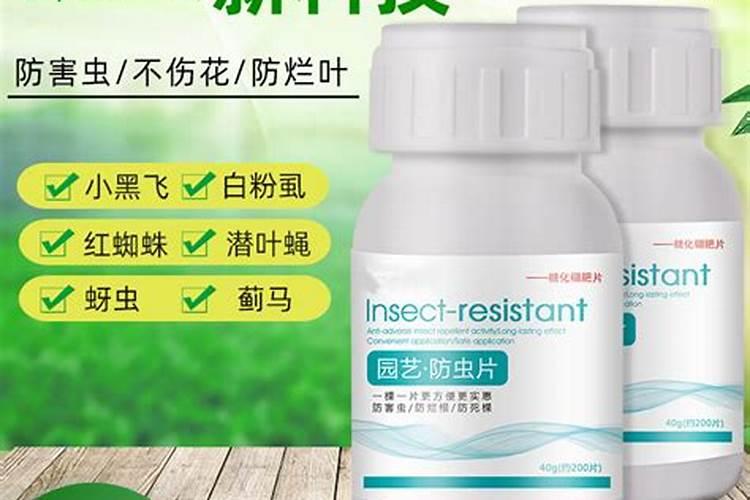 硼肥防虫片靠谱吗