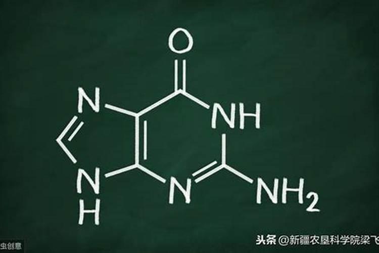 什么情况下柑橘缺乏营养素？