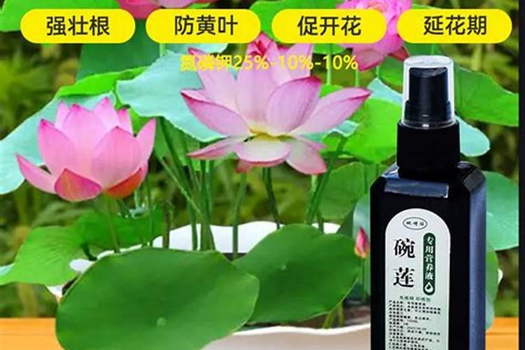 好的大量元素吸收利用率是多少