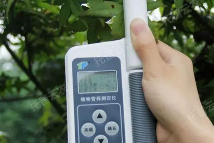 高磷高钾复合肥有那些