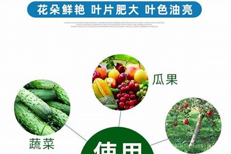 种花用什么肥料最好