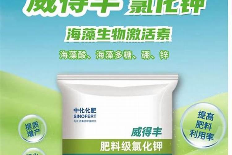 旱直播水稻怎样施肥