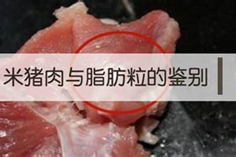 【采风作业】走进“黄精时代”