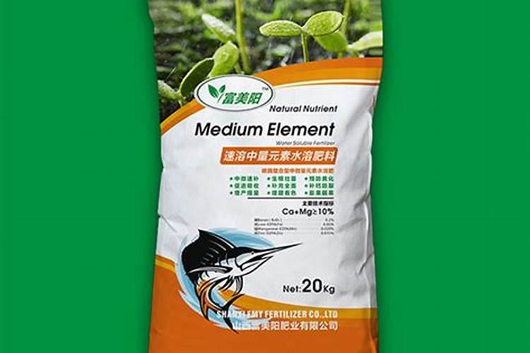 盆栽草莓什么时候浇水