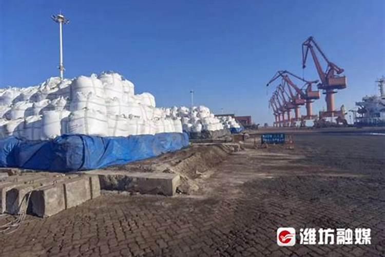 优良的早熟灯笼椒类品种主要有哪些？