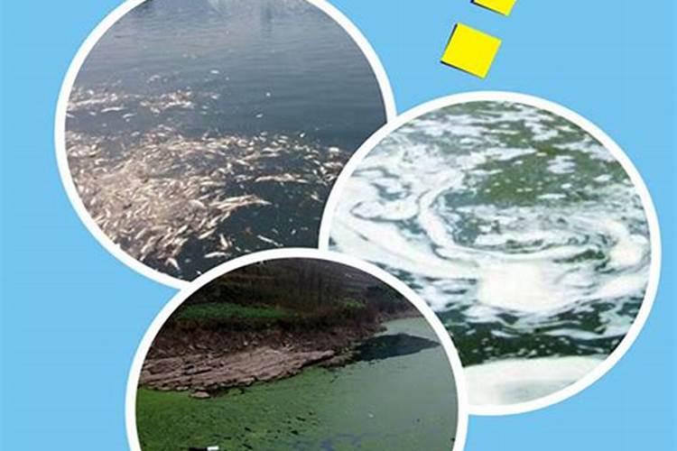 果树促花使用什么叶面肥？果树叶面肥喷施需要注意事项？