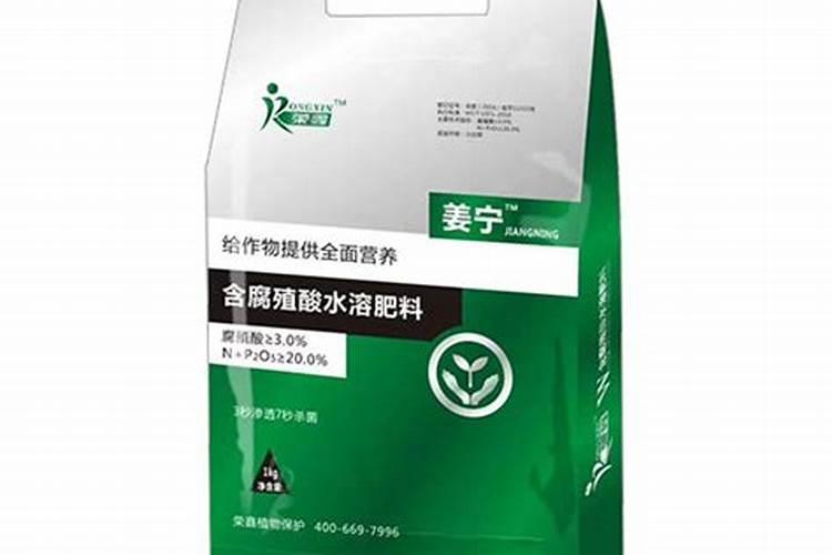 杨梅用什么肥料最好