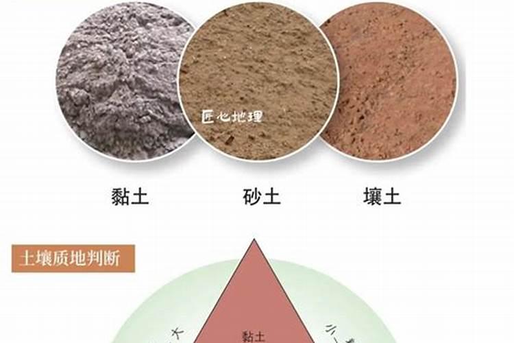 大棚葡萄收获后冲施什么肥好