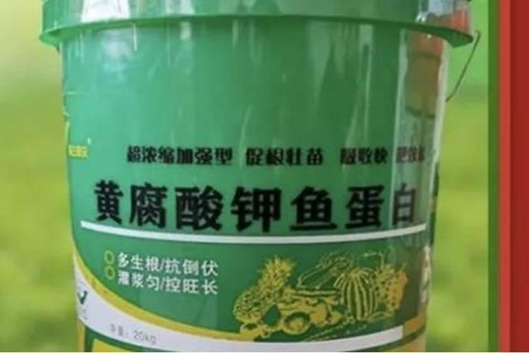 缓释型液体氮钾肥对玉米有何处