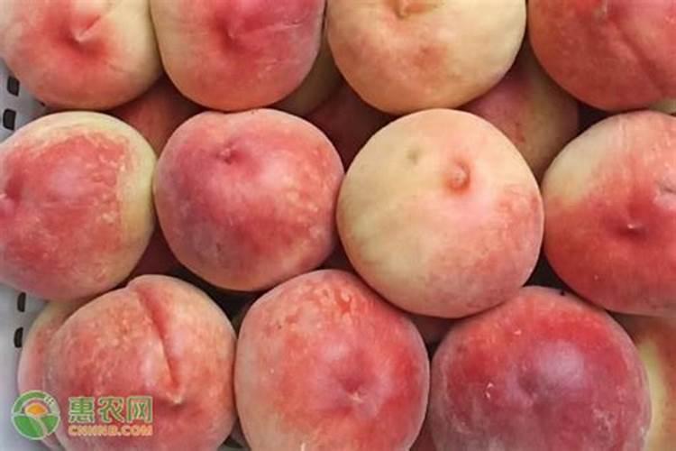 葡萄开花后施什么肥葡萄开花后怎么施肥