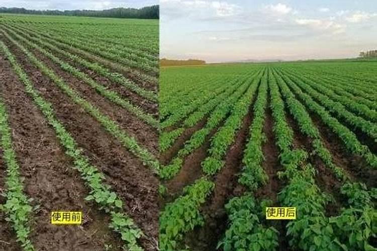 什么是水溶肥？