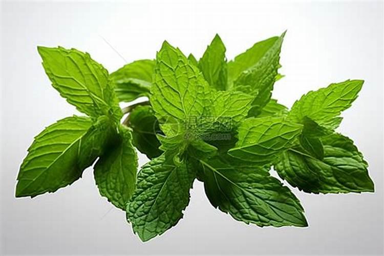 钾肥的制作原料是什么？