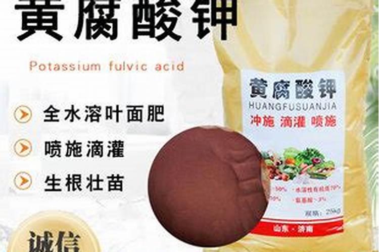 天堂鸟开花怎么养护