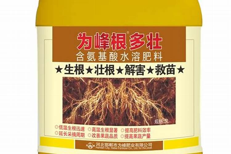 农医生专家们,6年的桃树,现在花芽分化期怎样管理啊？