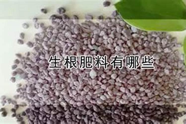 土豆、玉米、水稻、小麦等作物那种产量最高？