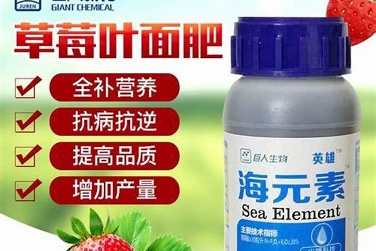 柑橘树什么时候用海澡精