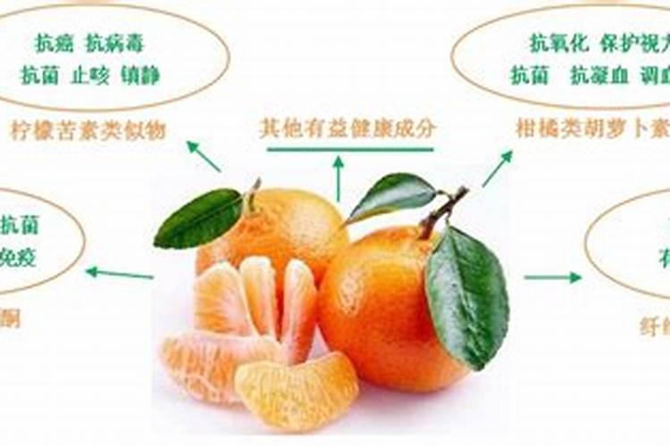 橘子树用什么肥好