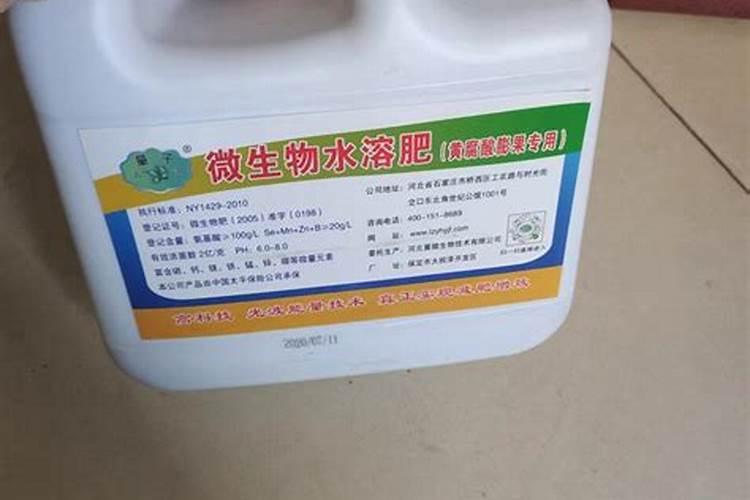 兰花什么肥最好