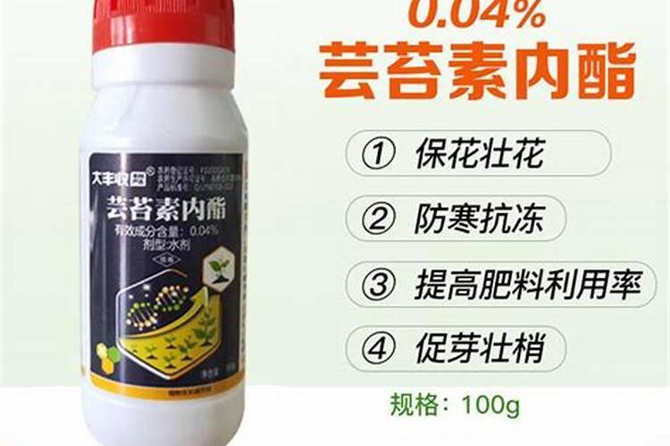 玉米叶面肥的最佳配方