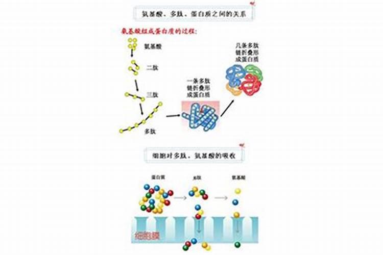 冬小麦控旺最佳时间 给大家说说控旺的相关知识