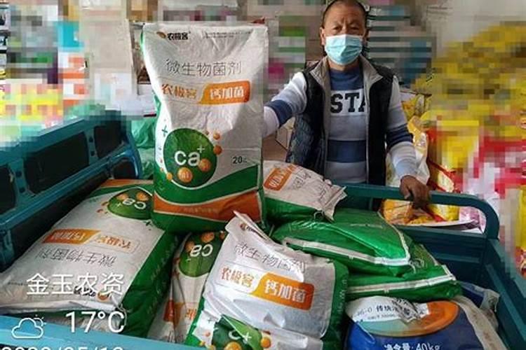 茄子怎么施肥浇水