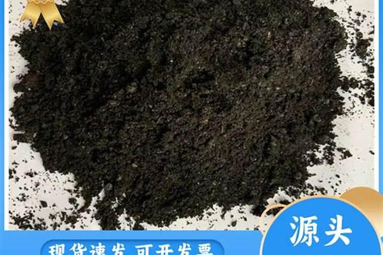 呼和浩特那有孤儿院？