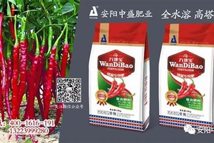 油葫芦的养殖方法和注意事项有哪些？