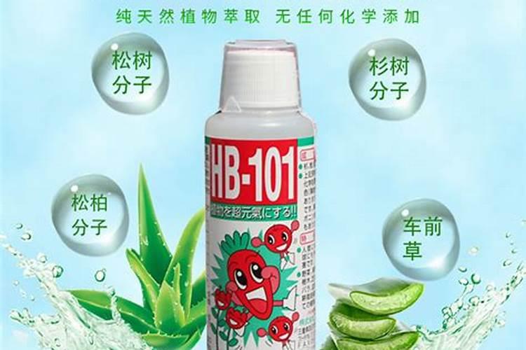 大雨过后适合给植物追肥么？