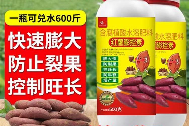土豆施肥用什么肥料