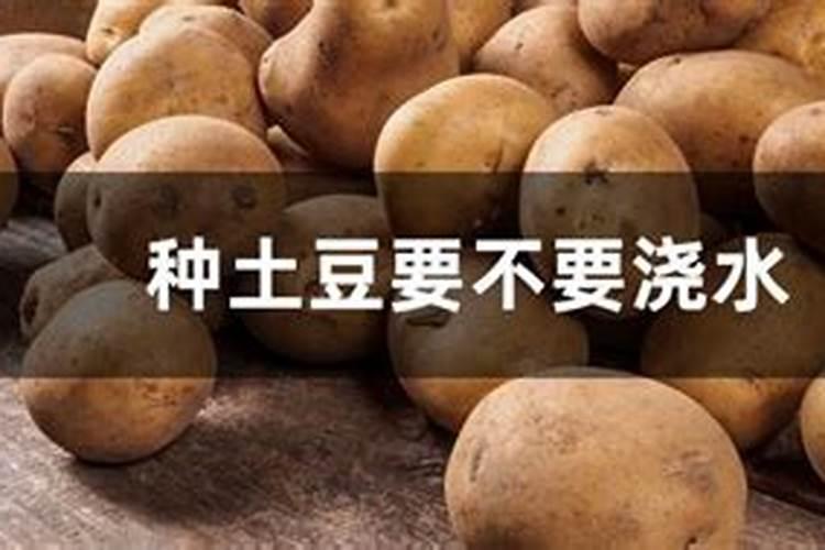 海藻肥和鱼蛋白肥哪个好 海藻肥的优缺点