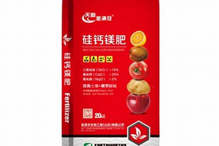 西葫芦叶子要不要修剪 西葫芦老叶子可以摘了吗