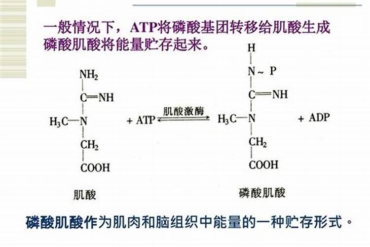 磷肥不溶于水怎么使用