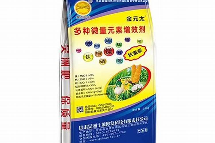 吊兰叶子塌了怎么补救