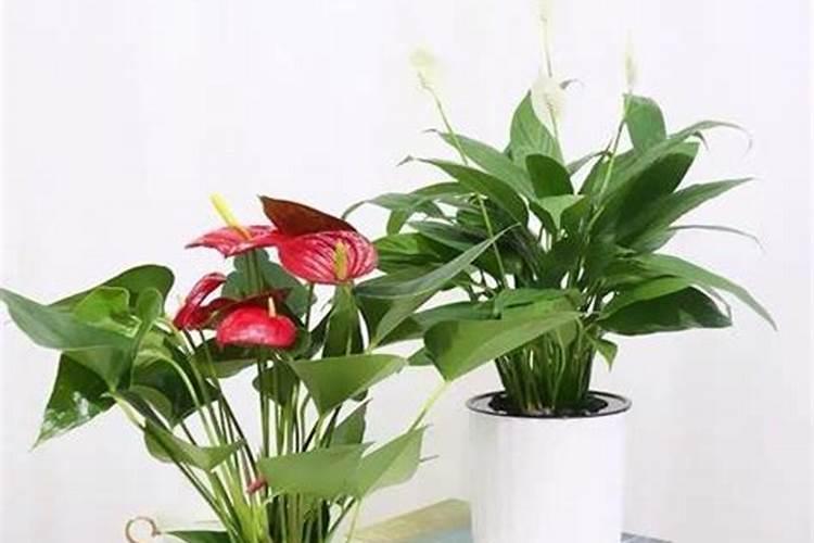 河北省石家庄市元氏县人口密度怎么样