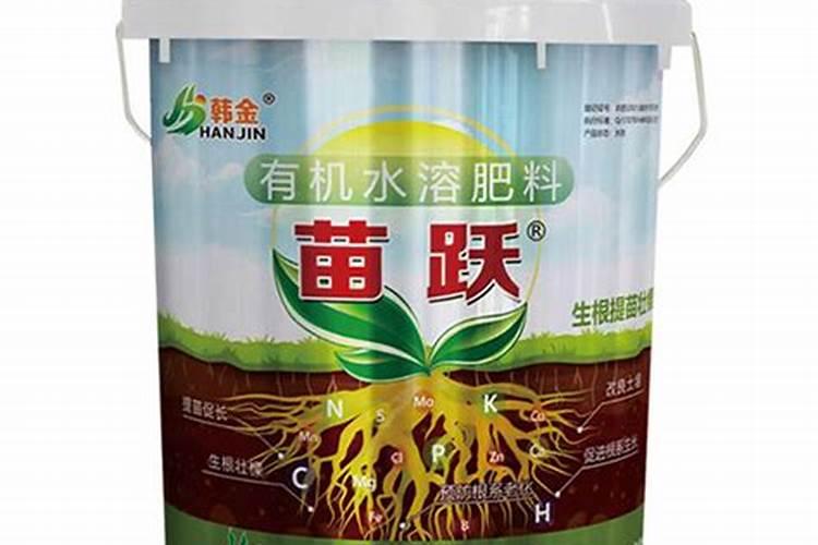 魔肥适用于什么花 魔肥适用于哪些花