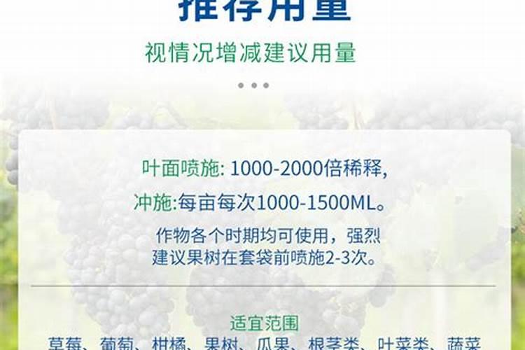 种树葡萄施什么肥