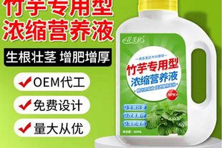 旱烟劲大怎样处理一下