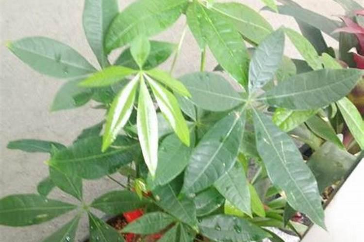 复合肥的真假和好坏～怎么分别？`有人知道吗!