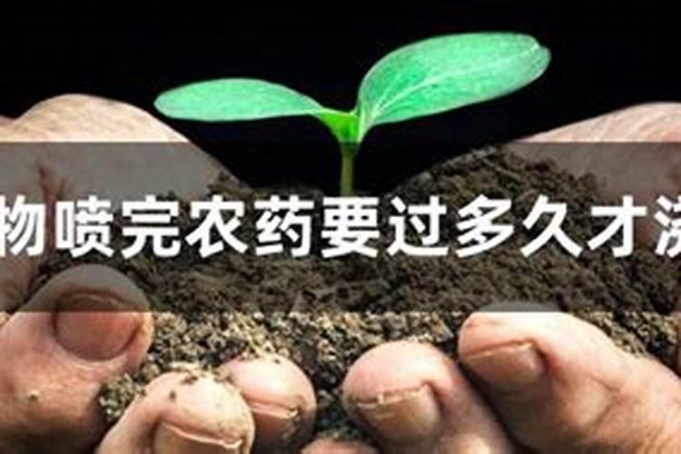 蔬菜能不能一边施肥一边施农药？