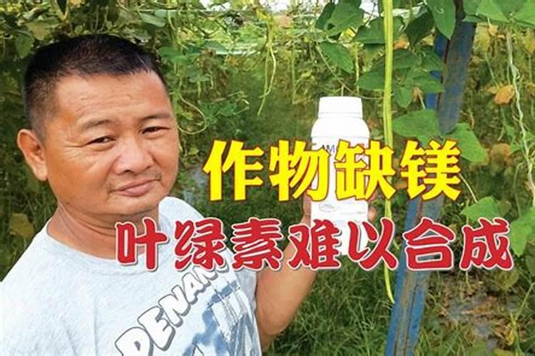 掺混肥十大排名