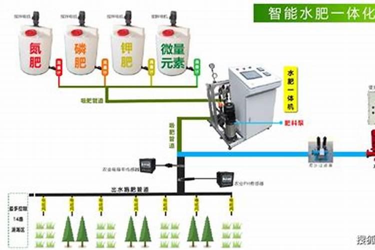 种菠菜用什么肥料